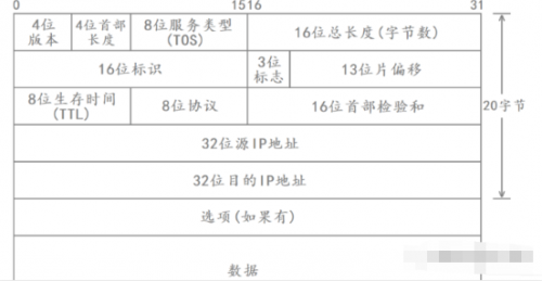 IP协议4