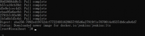 杨0627-Docker应用环境CentOS7+Docker+Jenkins (1)566